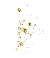 Cat with Gold Splatter